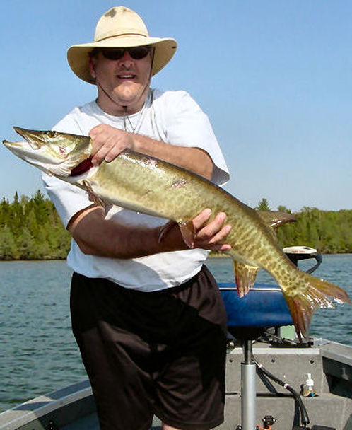 Steve Harkness wins Musky Mania 29 with a 38” fish